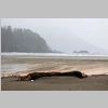 2017_05_31_0742_Cape_Scott-San_Josef_Bay_IMG_0032_72dpi.jpg